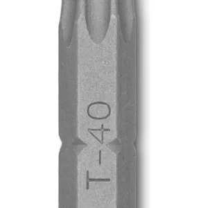 <div class="sku-tienda"><strong>COD:</strong> BRE4632</div>TORX:PUNTAS  T-20  (L25mm) [10 unid]